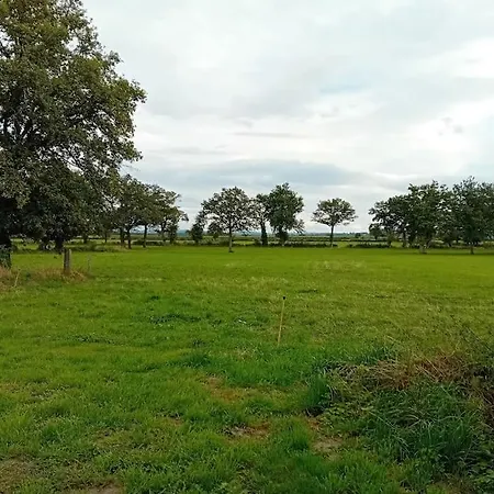 Apartment Logement Dans La Campagne Nerisienne *